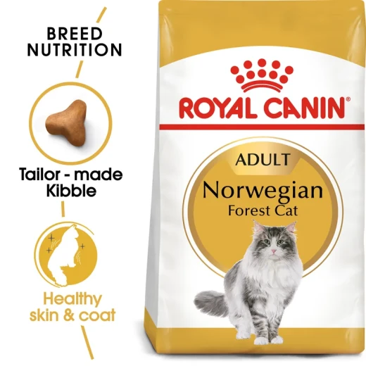 Royal Canin Norwegian Forest Cat Adult Dry Food 2kg | Tailored 3-Tier Kibble for Strong Jaws, Hairball Control, Bone, Joint & Dense Coat Health - Royal Canin - Image 2