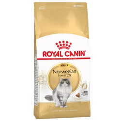 Royal Canin Norwegian Forest Cat Adult Dry Food 2kg | Tailored 3-Tier Kibble for Strong Jaws, Hairball Control, Bone, Joint & Dense Coat Health