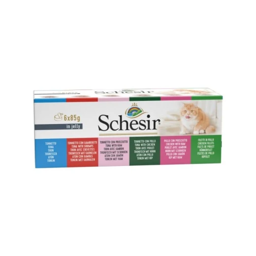 4300 SCHESIR CAT MULTI 6X85G IN JELLY 4300 SCHESIR CAT MULTI 6X85G IN JELLY