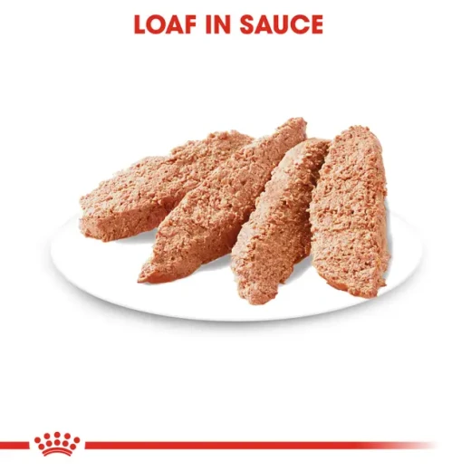 Royal Canin Sterilised Loaf Wet Dog Food, 85 g, Soft Loaf Texture, Balanced Nutrition to Help Maintain a Healthy Weight and Support the Overall Health of Sterilised Adult Dogs - Royal Canin - Image 2