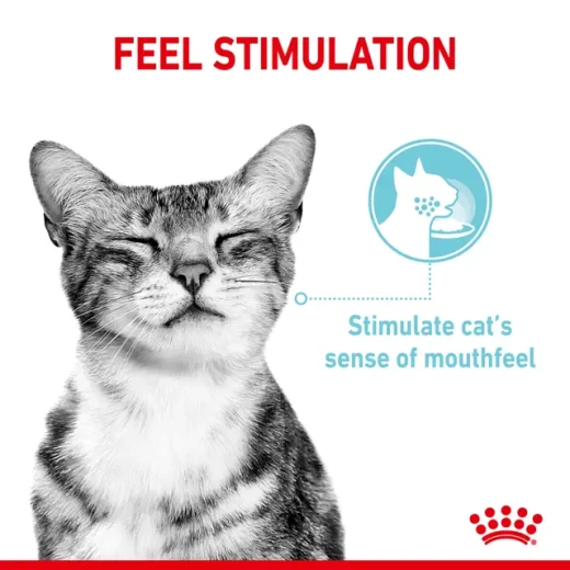 Royal Canin Sensory Feel Jelly Wet Cat Food 85g | Unique Mouthfeel Texture Stimulating Appetite, Supporting Urinary Health & Instinctive Preference - Royal Canin - Image 2