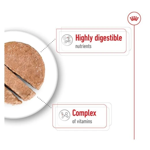 Royal Canin Mini Adult Loaf Wet Dog Food 195g | Highly Palatable Soft Loaf Supporting Digestive Health, Ideal Weight & Vitality for Small Breeds - Royal Canin - Image 2