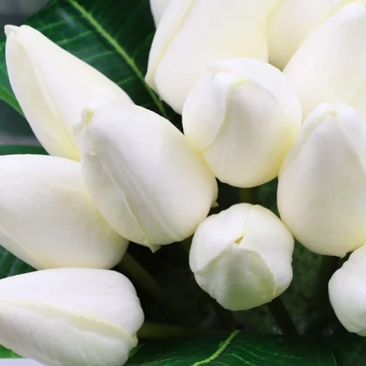 نوفا هوم "Green Tulip" مزهرية زهور - 18 سم - أبيض - نوفا هوم - Image 2