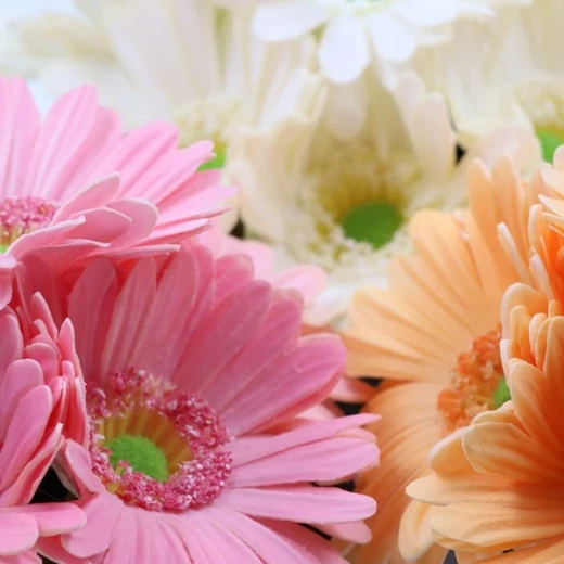نوفا هوم "Gerbera" مزهرية زهور - 20 سم - برتقالي - نوفا هوم - Image 2