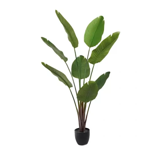 نوفا هوم "Strelitzia" نبتة صناعية - 159 سم - أخضر - نوفا هوم - Image 2