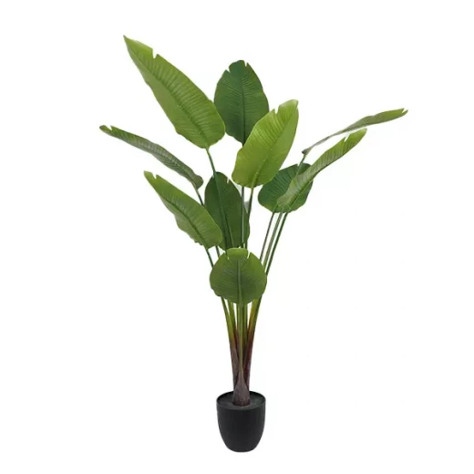 نوفا هوم "Strelitzia" نبتة صناعية - 185 سم - أخضر نوفا هوم "Strelitzia" نبتة صناعية - 185 سم - أخضر