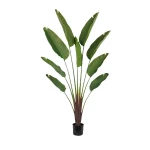 نوفا هوم "Strelitzia Ceae" نبتة صناعية - 180 سم - أخضر - نوفا هوم