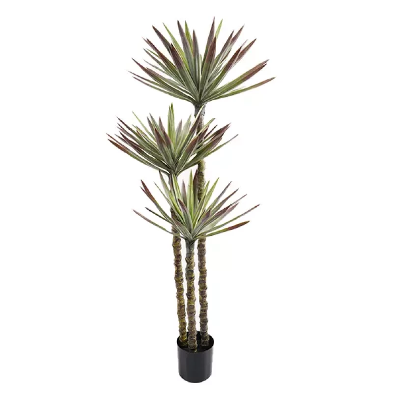 نوفا هوم "Agave" نبتة صناعية - 148 سم - أخضر - نوفا هوم