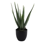 نوفا هوم "Aloe" نبتة صناعية - 55 سم - أخضر - نوفا هوم