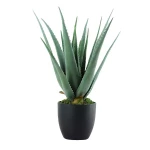 نوفا هوم "Aloe" نبتة صناعية - 69 سم - أخضر - نوفا هوم
