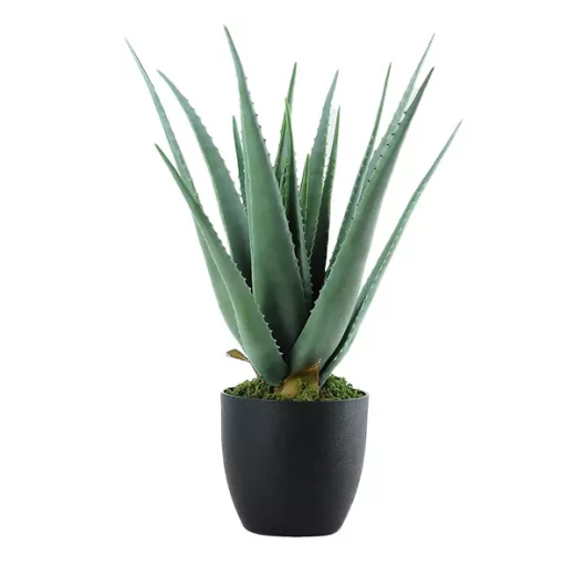 نوفا هوم "Aloe" نبتة صناعية - 69 سم - أخضر - نوفا هوم - Image 2