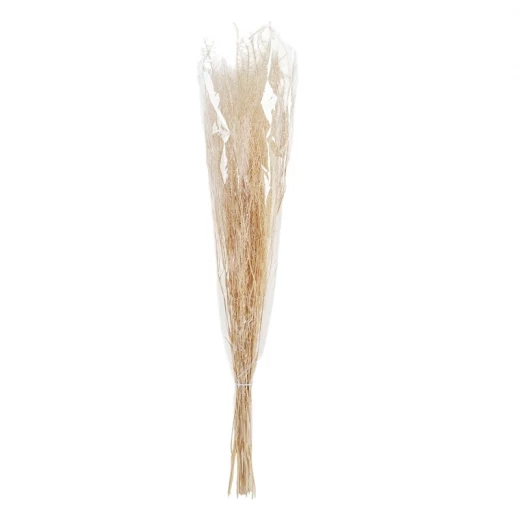 ويفا سيقان وأفرع عشب صناعية بيج "Grass" ويفا سيقان وأفرع عشب صناعية بيج "Grass"