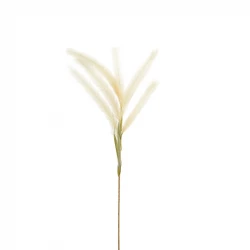 ويفا سيقان وفروع صناعية 11x124 سم كريمي "Reed"