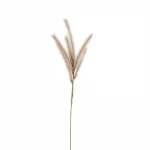 Weva 11x124 Cm Coffee Reed Artifical Stems&Branches "Reed" - Weva