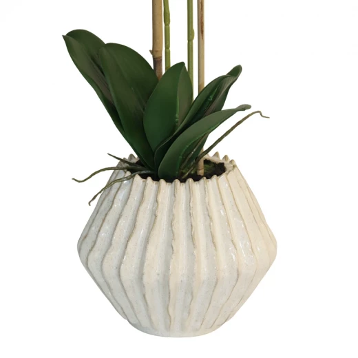 Nova Home "Lunaria" Flower Phalaenopsis Arrangement with Pot – 60 cm – White - Nova Home - Image 2