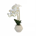 Nova Home "Lunaria" Flower Phalaenopsis Arrangement with Pot – 60 cm – White - Nova Home