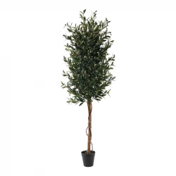 Nova Home Artificial Olive Tree with Pot – 180 Cm – Green