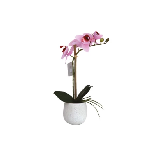 نوفا هوم "Phalaenopsis" مزهرية زهور - 38 سم - زهري نوفا هوم "Phalaenopsis" مزهرية زهور - 38 سم - زهري