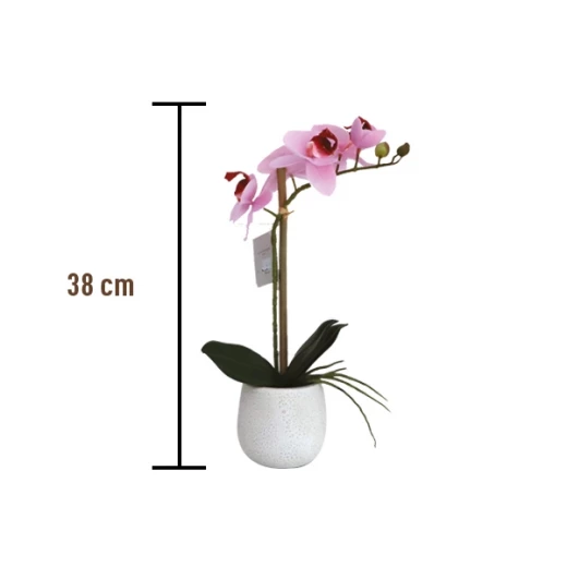 نوفا هوم "Phalaenopsis" مزهرية زهور - 38 سم - زهري - نوفا هوم - Image 2