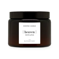 Ambientair Scented Candle The Olphactory - 40 Hours - 360 Gm - White Lotus