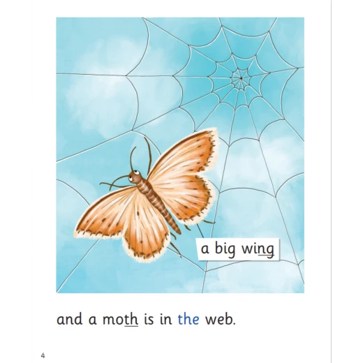 The Web: My Letters and Sounds Phase Three Phonics Reader - Image 2