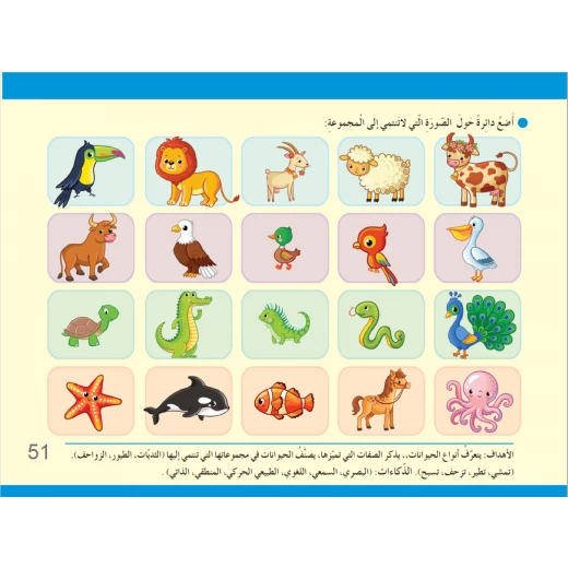 سنا المهارات المستوى الثاني - Image 7