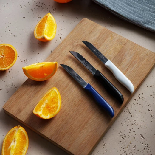 Arshia 6-Piece Fruit Knife Set with Rust-Resistant Stainless Steel Blades, Ergonomic Plastic Handles, and Colorful Lightweight Design for Everyday Fruit and Vegetable Cutting - Arshia - Image 3