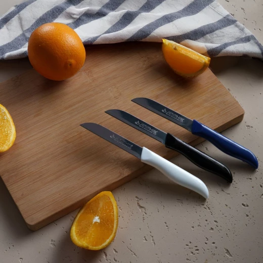 Arshia 6-Piece Fruit Knife Set with Rust-Resistant Stainless Steel Blades, Ergonomic Plastic Handles, and Colorful Lightweight Design for Everyday Fruit and Vegetable Cutting - Arshia - Image 4