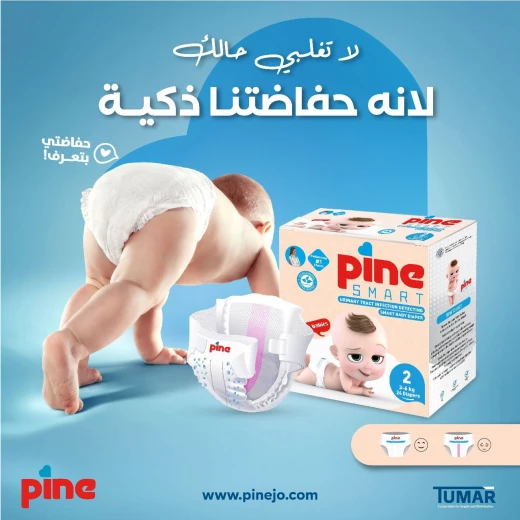 فوط باين سمارت -حجم 6/ +16 كيلو-التعبئة 16- الحفاظة الذكية الاولى - باين - Image 3