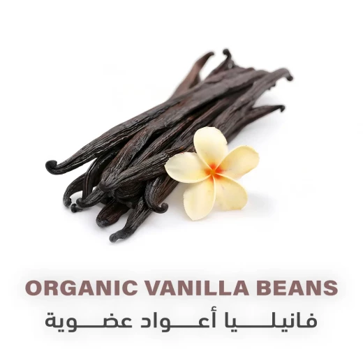 Holistic corner Organic Vanilla Beans 12g - Holistic corner - Image 2