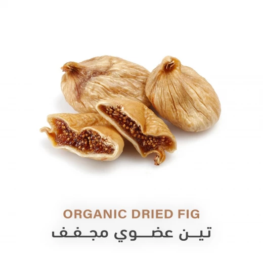 تين عضوي مجفف 100غم - هولستك كورنير - Image 4