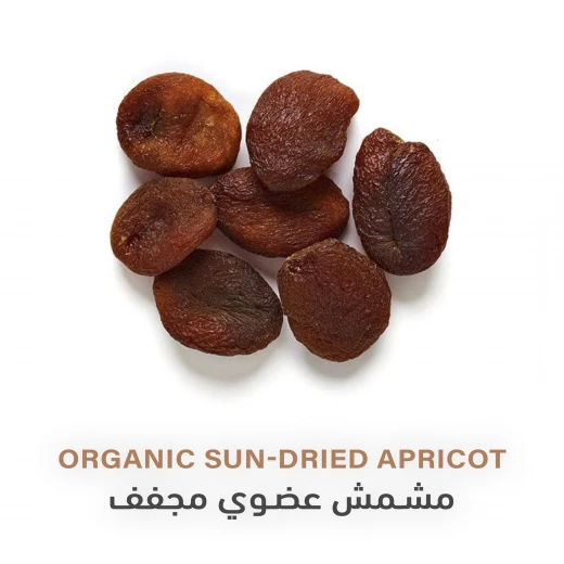 Organic Sun-dried Apricot | 100g - Holistic corner - Image 2