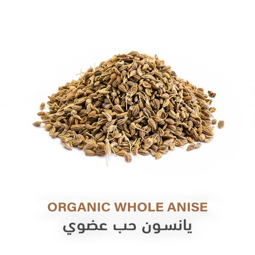 يانسون حب عضوي 85غم - هولستك كورنير - Image 5