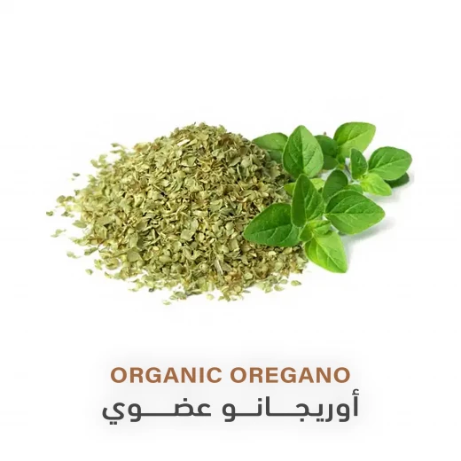 Organic Oregano | 25g - Holistic corner - Image 2