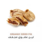 تين عضوي مجفف 300غم - هولستك كورنير