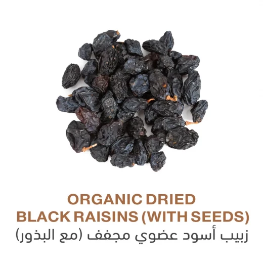 زبيب أسود مجفف عضوي مع البذور 100 غرام خالٍ من الزيوت المضافة، غني بمضادات الأكسدة وغير معدل وراثيًا من هولستك كورنير - هولستك كورنير - Image 3