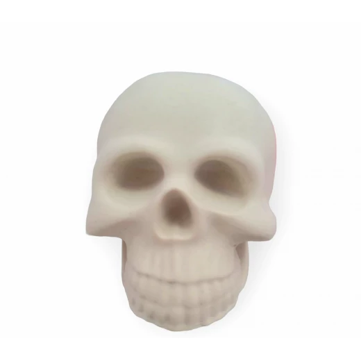 Sensoria ,Medical Set for coloring :skull, heart, brain gypsum models, water colors  - sensoria - Image 3