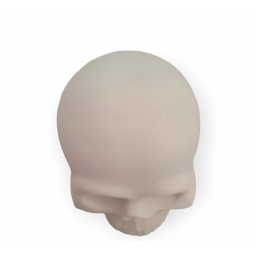 Sensoria ,Medical Set for coloring :skull, heart, brain gypsum models, water colors  - sensoria - Image 2