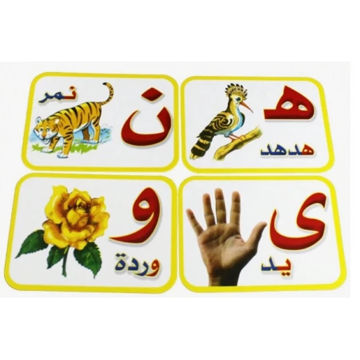 بطاقات الحروف العربية التعليمية الحيوانات  28 بطاقة تعليمية مصورة (11×15 سم) - سنسوريا - Image 5