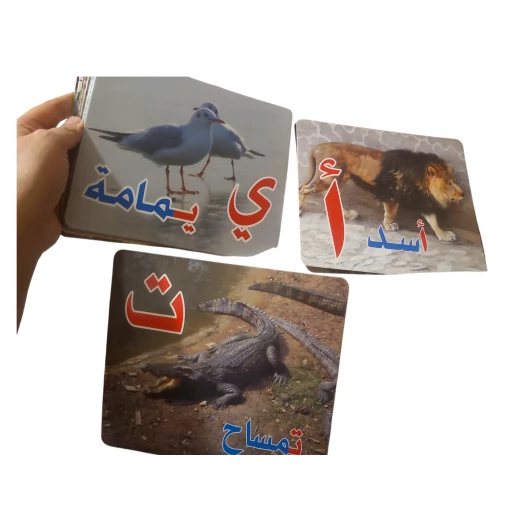 بطاقات حسية كبيرة لتعليم الحروف العربية – 28 بطاقة بصور واقعية 16×19 سم وفق مبادئ جلين دومان - سنسوريا - Image 2