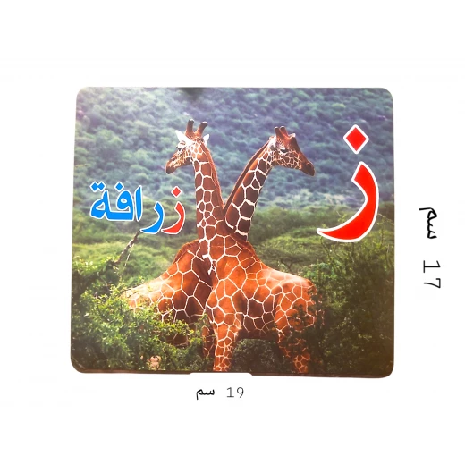 بطاقات حسية كبيرة لتعليم الحروف العربية – 28 بطاقة بصور واقعية 16×19 سم وفق مبادئ جلين دومان - سنسوريا - Image 3
