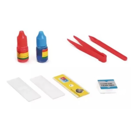 Sensoria Kids’ Microscope Science Kit (300x Zoom  Ages 3+ - sensoria - Image 3