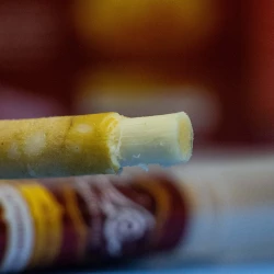 مسواك صحي معالج, قطعة واحدة من سندس
