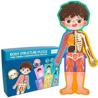 Body Structure Puzzle Boy - human body puzzle and anatomy learning toy for boys for kids, educational puzzle and early science learning, a thoughtful educational gift builds skills great gift idea nice