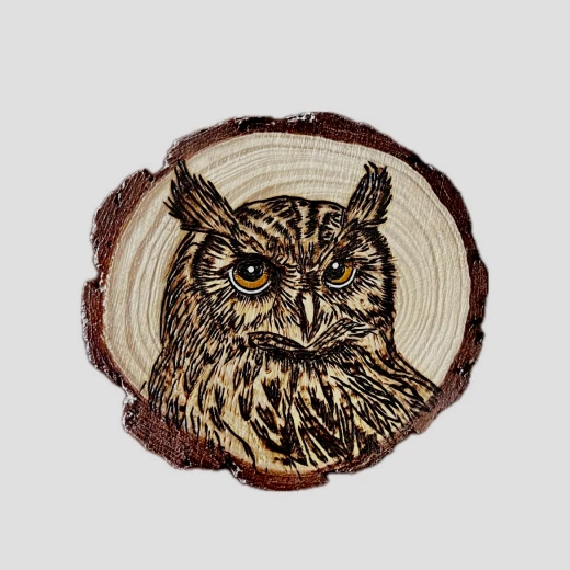 Interior home decor from Star zone - the Owl - star zone - Image 6