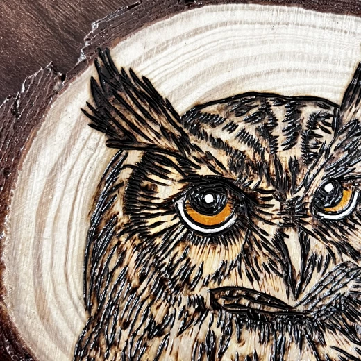 Interior home decor from Star zone - the Owl - star zone - Image 5