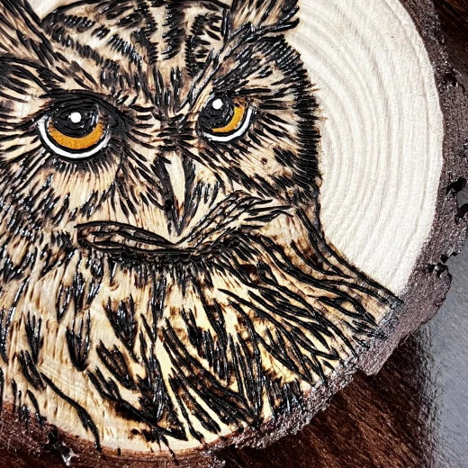 Interior home decor from Star zone - the Owl - star zone - Image 4
