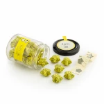 مطربان السعادة - قباطروس ستوديو