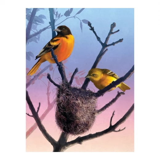 New York Puzzle 1000 Pieces Baltimore Orioles - New York Puzzle Company - Image 4