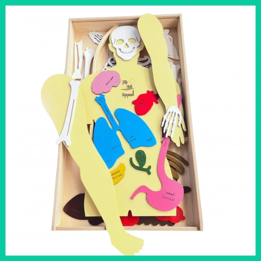Human Body Wooden Puzzle Human Body Wooden Puzzle